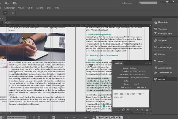 Adobe InCopy 2025 20.5 interface screenshot