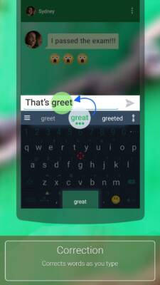 ai.type keyboard Plus 9.6.2.0 APK software description