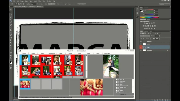 Album DS 11.8.0 interface screenshot