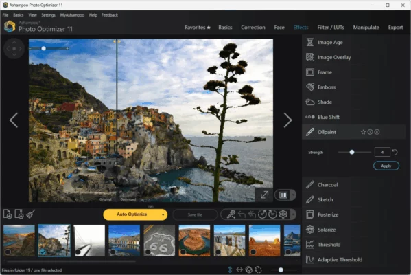 Ashampoo Photo Optimizer 11.0 interface screenshot