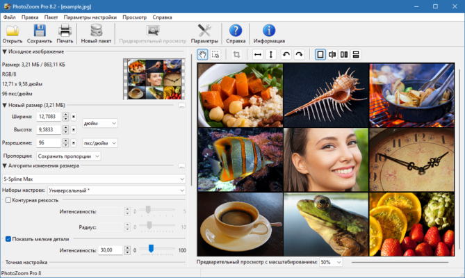Benvista PhotoZoom Pro 9.0.2 interface screenshot