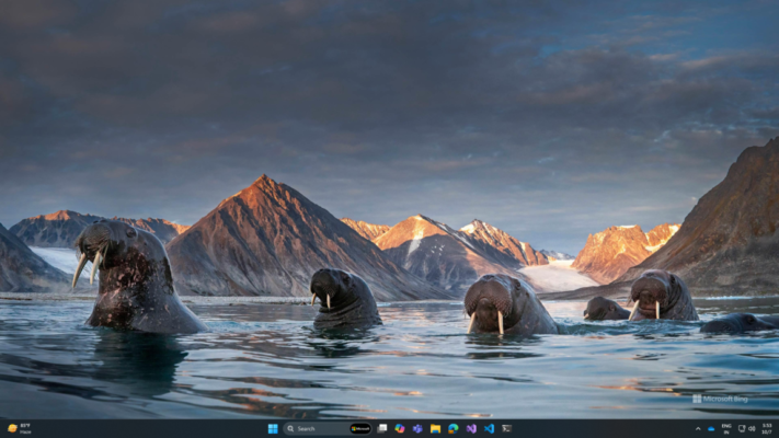 Bing Wallpaper 11.416 interface screenshot