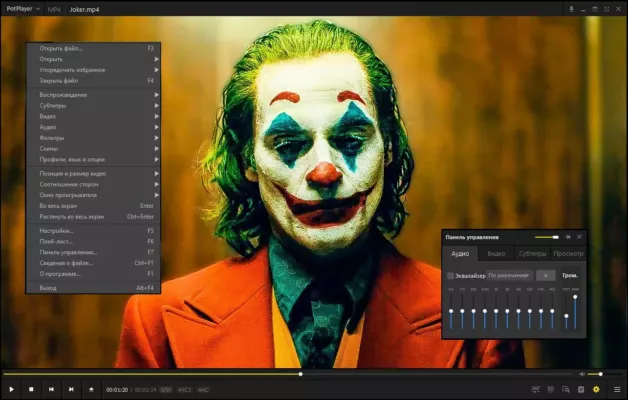 Daum PotPlayer 250312 – A snapshot of the explanation
