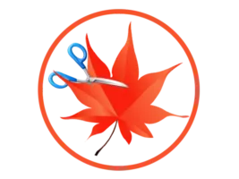 Easy Cut Studio 6.013 / EasyCut Pro 5.122 – Featured image