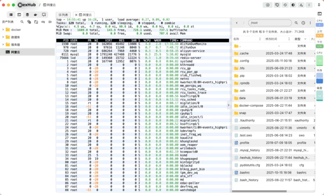 HexHub 1.3.1 – Database, SSH/SFTP & Docker Desktop GUI – A snapshot of the explanation