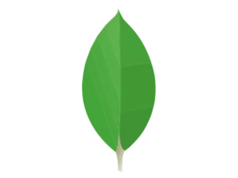 MongoDB Compass 1.46.2 – Featured image