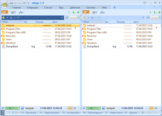 oMega Commander 3.0.47 – A Powerful File Manager for Windows software description