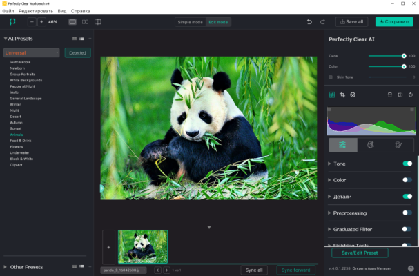 Perfectly Clear WorkBench 4.8.0.2849 – A snapshot of the explanation
