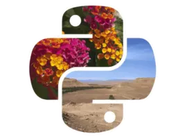 PillowView 1.0.0 software logo