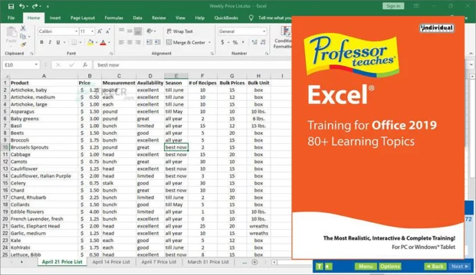 Professor Teaches Excel 2021 6.1 interface screenshot
