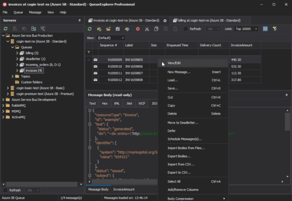 QueueExplorer Pro 5.0.59 interface screenshot