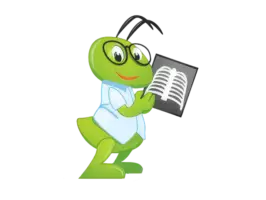 RadiAnt DICOM Viewer 2025.2  – Medical Imaging Software software description