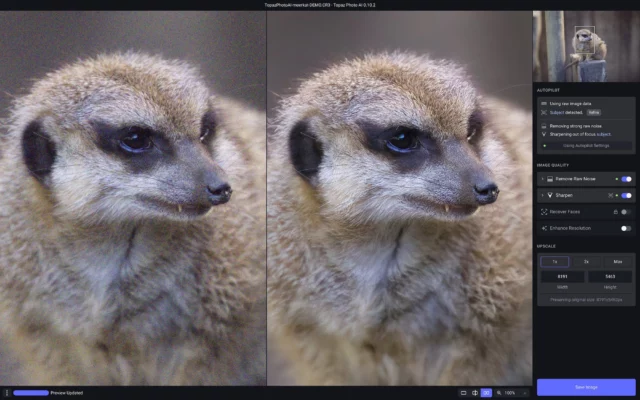 Topaz Photo AI 4.1.0 – A snapshot of the explanation