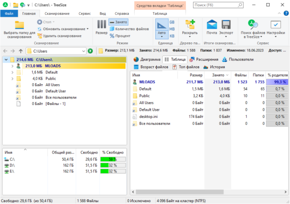 TreeSize Pro 9.6.1.2156 interface screenshot