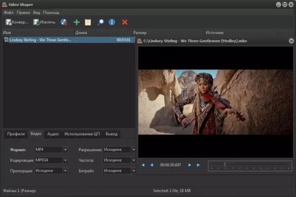 Video Shaper Pro 6.0 interface screenshot